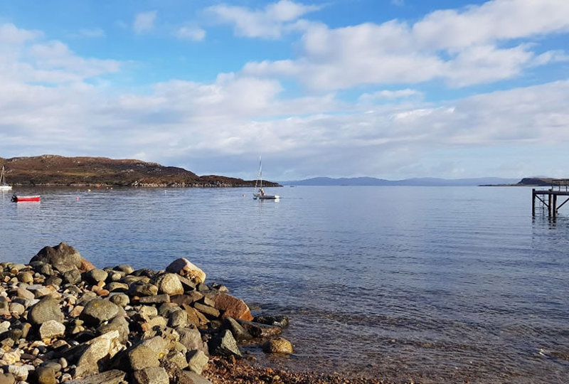 Wild Spaces Reimagining our places