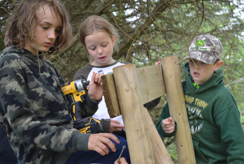 Forest Management