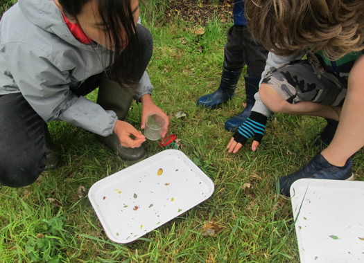 PLAY & LEARNING SPACE