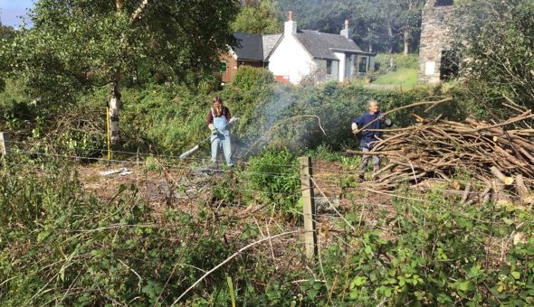 First Birthday Celebration on Saturday 4th September at the Community Garden! gallery 2