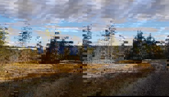 Owning Our Future Podcasts gallery 0