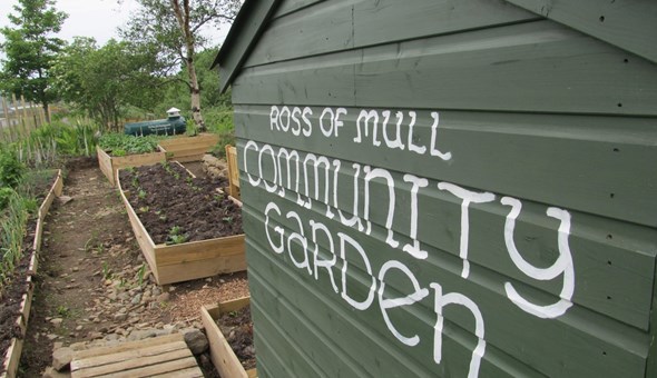 Busy times at the Community Garden gallery 1
