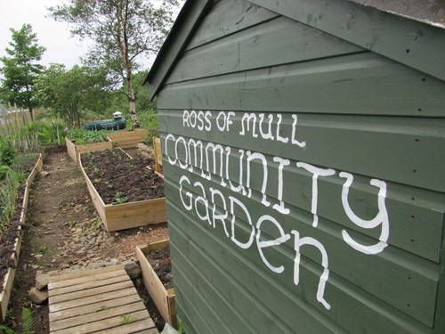 Busy times at the Community Garden