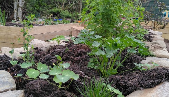 Busy times at the Community Garden gallery 6