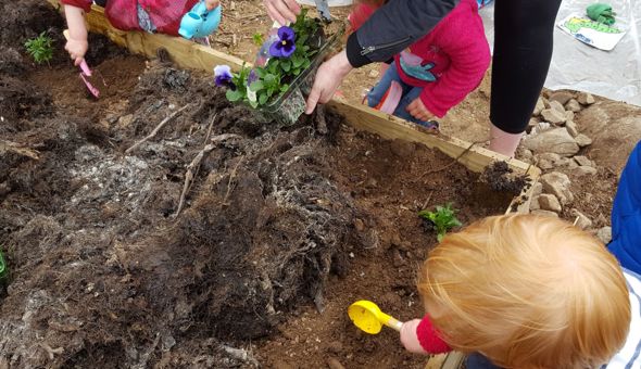 Busy times at the Community Garden gallery 7