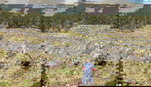 Willow hideaways; a seat with a view; and bikes, bridges and berms gallery 2