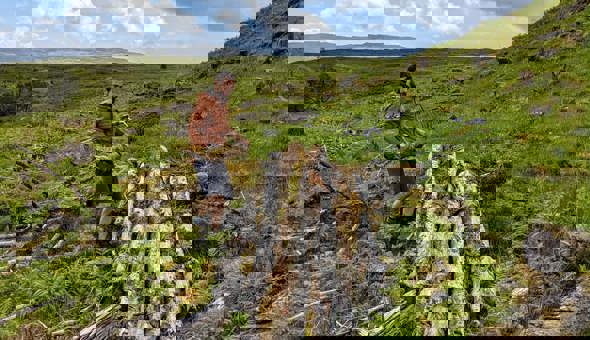 Willow hideaways; a seat with a view; and bikes, bridges and berms gallery 3