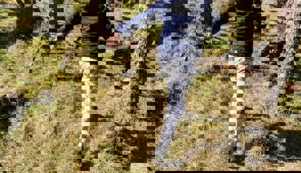 People in the Forest photo competition gallery 2