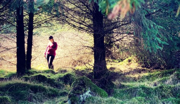 People in the Forest photo competition