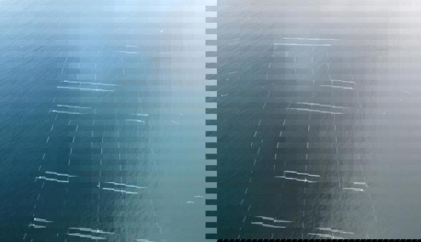 Graduate Placement Opportunity - Aird Fada Project Officer gallery 1