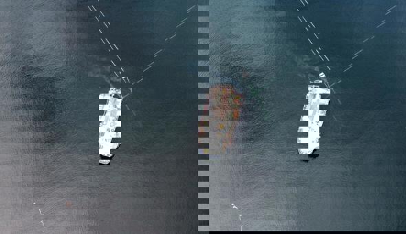 Graduate Placement Opportunity - Aird Fada Project Officer gallery 2