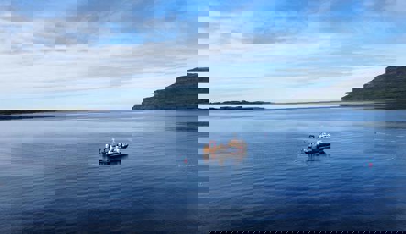 Graduate Placement Opportunity - Aird Fada Project Officer gallery 4