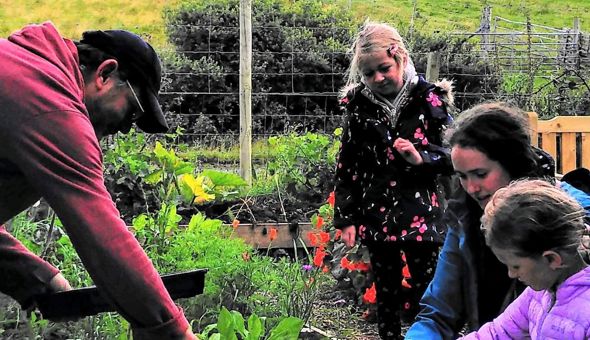 Community Garden seeks pizza oven builder! gallery 0