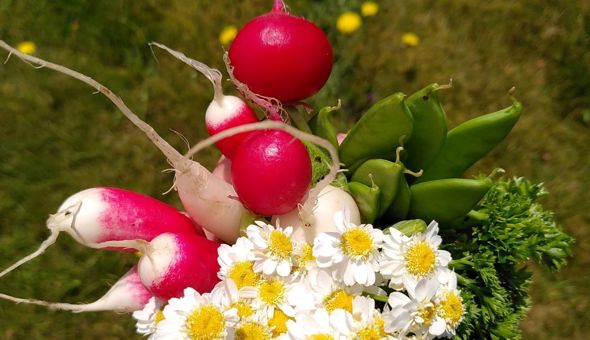 First Birthday Celebration on Saturday 4th September at the Community Garden! gallery 4