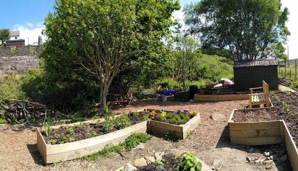 First Birthday Celebration on Saturday 4th September at the Community Garden! gallery 0