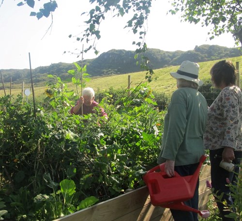 Please help us to raise funds for our polytunnel!