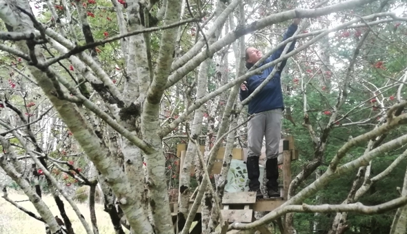 Seed collecting at Tiroran Community Forest  gallery 2