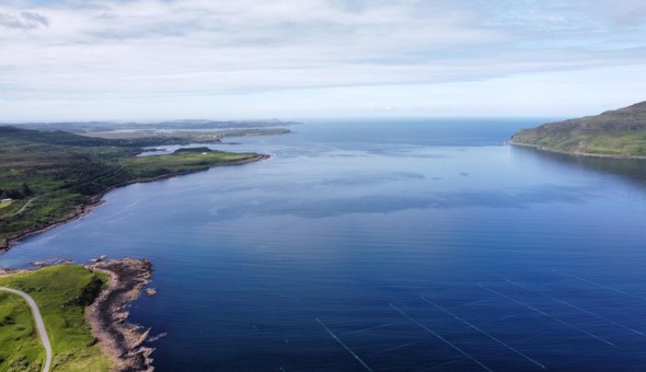 Aird Fada Seaweed Farm - growing well for the community!