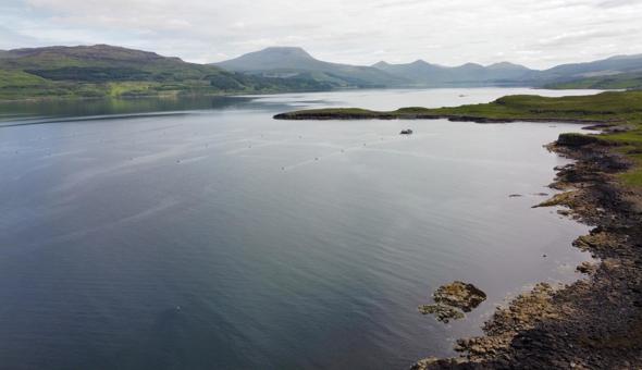 Islands Infrastructure Fund boost for Aird Fada Seaweed Farm