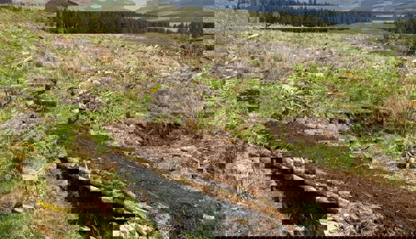 Mountain Bike Trail Building Course gallery 3