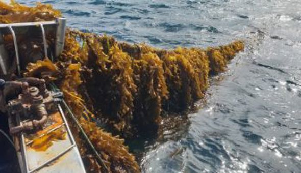 Business Development Manager opportunity! gallery 0