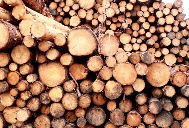 Tiroran Timber Sawmill and Biochar