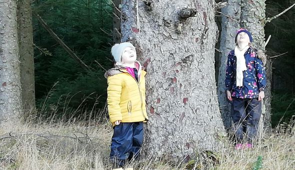 Work from Anywhere Chief Executive Officer Opportunity gallery 0