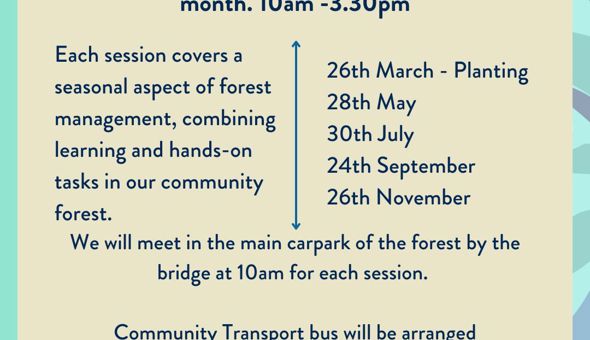 Volunteer Day at Tiroran Community Forest