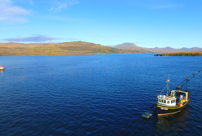 Aird Fada Seaweed Farm