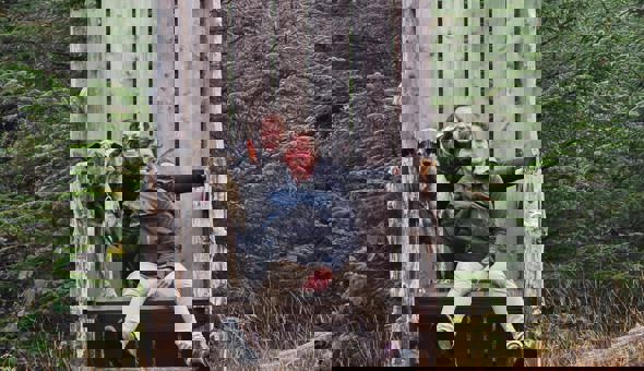 We are recruiting an Engagement Officer  gallery 0